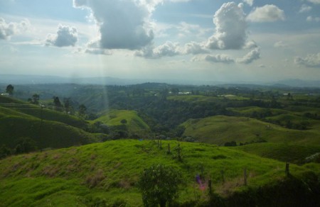 Paisaje Quindiano